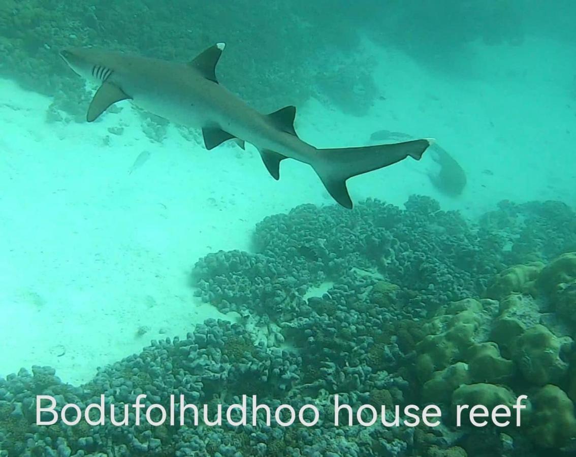 ホテルサーフリトリート Bodufolhudhoo エクステリア 写真