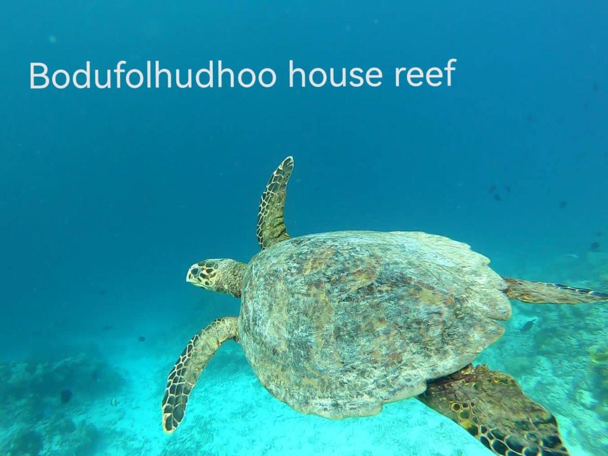 ホテルサーフリトリート Bodufolhudhoo エクステリア 写真