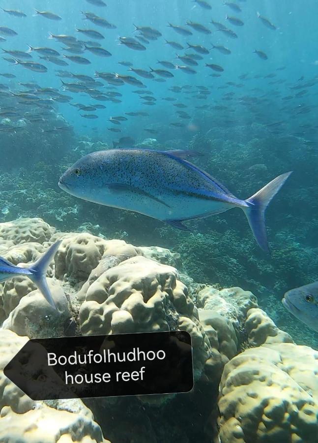 ホテルサーフリトリート Bodufolhudhoo エクステリア 写真